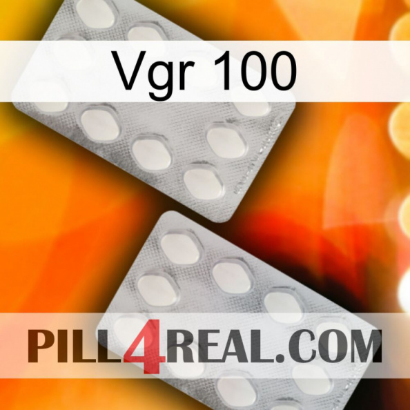 Vgr 100 17.jpg